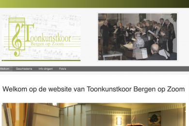 voorbeeld website toonkunstkoorboz.nl