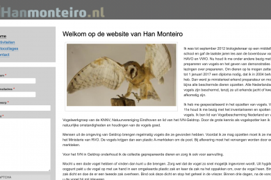 voorbeeld website hanmonteiro.nl